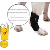 Hundkläder Bandage Artrit Protector täcker smärtlindring Legstöd hundar Skada återhämtning Hock Joint Brace Pet Knäskydd