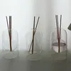 Vases Transparent Diffuser With 10 Fragrance Stick Essential Oil Organizer Art Hydroponic Bottle Modern Glass Desktop Decor