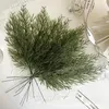 Dekorativa blommor 10 st konstgjorda gröna tallgren växter julstärken bladår presentförpackning xmas träd hem fest bröllop deco