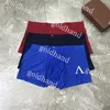 Sexy Mens Underwear Briefs confortables Designer Modal Underpants Sport Boxer Boxers avec boîte