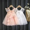 Платья девочек, маленькие девочки одеваются летние розовые милые подтяжки + крылья, европейский американский стиль элегантный сетчатый платье принцессы.