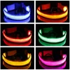 ナイロンLED LED LIDUSOUS DOG COLLARS NIGHT SAFETY FLISHING GLOW DOGS LEASH RETRACTABLE PET COLLAR LED BATTERY LIGHT LIGHT LOST PROFIES PETS LEASHEST9I002619