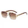 Lunettes de soleil RECTAGNE MALON HAUCHE RECTANGE FORME CUPE COUPE FEMMES FEMMES SUMPRES EUROPURES AMÉROPE Men de soleil