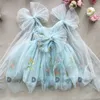 Baby borduurseljurk meisje zomerjurk bloemen bogen mouwloze ballarina dance performance jurk meisjes tutus kleding 240416