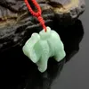 Éléphant à la main à la main à la main