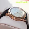 Unisexe AP Wrist Watch Mens Millennium Series Manual Mechanical 18K Rose Gold Watch 25955or.OO.D002CR.01