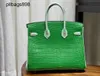 Women Brkns Handbag Genuine Leather 7A Handswen Misty Crocodile Skin Cactus Green Mint Green 25CM Color Summer LuxuryIXSK