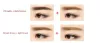 Enhancers Pro 2 Color Eyebrow Enhancer Makeup Eyebrow Powder Longlasting Waterproof With Brush Mirror Cosmetic Sats