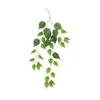 Decorative Flowers Artificial Wall Hanging Vine Decoration Indoor Living Room Fake Flower Balcony Plastic Chlorophytum