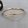Nagelarmband Designer sieraden titanium stalen armbanden vergulde nooit vervagende niet-allergische gouden armband Carter 742
