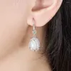 Boucles d'oreilles 925 aiguille argentée bijoux de mode féminine fleur fleur blanc zircon opale prune fleur