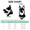 Cool Pet Dog Safety Helmet for Small Medium Dogs French Bulldog Doberman Pinscher Adjustable Motorcycle Helmets Pet Accessories 240418