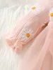 Robes de fille nouveau-nés bébé filles mignonnes marguelées florales longues longues patchworks bodys fêtard de vacances robe princesse rose d240419