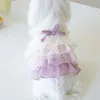 Hundkläder husdjur färgglada prinsessa veckad kjol gradient tårta söt sling klänning modekläder designer kläder