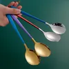 Stainless Steel Long Handle Spoon Ice Cream Dessert Scoop Children Milk Stirring Spoons Kitchen Restaurant Round Scoops TH1399