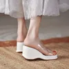 Женские сандалши на каблуках Slippers Женщины Flip Flops Summer Shoes Women Purss Sandalias Прозрачные слайды Mujer 240410