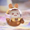 Shinwoo die Lonely Moon Serie Blind Box Toys Mystery Mistery Figur Caja Überraschung Kawaii Modell Geburtstagsgeschenk 240407