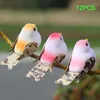Decoratieve beeldjes 12 -stcs/set simulatie vogels modellen met clip kunstmatige schuim dierentakken Decor Diy Wedding Home Garden ornament