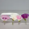 Decorative Flowers 3.5-5cm/24pcs Nature Godetia Amoena Side Pressed Flower Petals DIY Drip Glue Phone Case Plant Po Frame Face Makeup