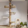 Scratchers Cat Furniture Scratchers Tree Floor to Ceiling Tower Adjustable Kitten MultiLevel Condo With Scratching Post Pad Hammock Pet Activ