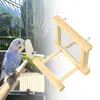 Inne zaopatrzenie ptaków drewniane lustra platforma ptaków stojak z metalowym haczykiem Parrot Cage Toys for Lovebird Conures Cockatiels Finch Cockatoo