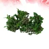 Dekorativa blommor 5 påsar Artificial Moss Simulated Green Garden Flower Pot Decoration Miniature Ornament Stabiliserad