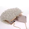 Bags Evening Wedding Clutch Handbag Pearl Bag Dress Dinner Bag Small Purse Bridesmaid Handbag White