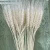 Fleurs décoratives 50pcs Real Wheat Oreau Décoration de mariage séché naturel Décorations de Noël de fleurs artificielles 2024 Cadeaux de la Saint-Valentin