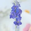 Decorative Flowers Pressed Large Flying Swallow Flower Branches Dried DIY Mobile Shell Plant Gift Card Bookmark Material 9-11cm 12PCs