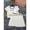 Preppy Knit Tops Skirt Set Designer Embroidered Knitted Tanks Tees Stretch Pleated Skirt Summer Women Knitted Jumper Knitted Skirt