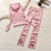 2024 New Women's Outfit Juicy Coture Tracksuit Woman Velvet Ladies Tracksuit Diamond Hoodie Casual Tracksuit Spring/Fall Women Two Piece Set