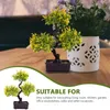 Flores decorativas Adornamentos de desktop artificiais imitação de bronsai Ornamentos de bonsai vasos de flores internos