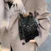 Tassen krokodil patroon clip vrouwen schoudertas mode alligator crossbody tassen voor vrouwen 2021 designer kleine pu lederen dameszak