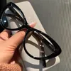 Gafas de sol Cat Eye Anti Blue Light Gasses Mujeres Personalizado Transparente Computadora Diseñadora de vidrio Damas ópticas Espectáculo