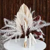 Decoratieve bloemen Palmbladeren Gedroogde planten Reed Wedding Arrangement Decoraties Natuurlijk Pampas Grass Fan Home Party Room Decor