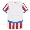 XXXL 4XL 2024 PARAGUAY SOCCER JERSEY 24/25 COPA AMERICA CAMISA 2025 DOMA DOMOWE KOSZYNTY FABLICZNE