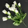装飾的な花12ヘッドバラの芽