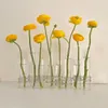 Vases Verre transparent Vase Hydroponic Vase Creative Round Round Tubes à charnière Fleur suspendue Garderie Supplies Home Decor