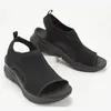 Sıradan Sport Sandalet Plus Boyut Boy Ayakkabıları Yaz 2023 Konfor Kadınlar Plaj Kama Sandal Platformu Roman 240409