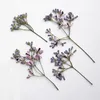 Decorative Flowers 60pcs Pressed Dried Melia Azedarach L Stem Flower Herbarium For Resin Epoxy Jewelry Card Bookmark Frame Phone Case Makeup