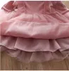 Meisjesjurken meisjes gaas tutu jurk witte roze lente kinderen kanten prinsesjurk voor 1-6 yeas oude babymeisjes verjaardagsfeestje kostuum d240423