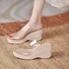 Женские сандалши на каблуках Slippers Женщины Flip Flops Summer Shoes Women Purss Sandalias Прозрачные слайды Mujer 240410