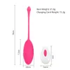 Wireless Bluetooth Dildo Vibrator Sexiga leksaker för kvinnor Remote Control Wear Vibration Vagina Ball trosor Toy Adult 18