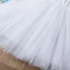 Verão garotas fofas lantejacho vestido princesa crianças sem mangas roupas de tule crianças festas de aniversário crianças figurina tutu de páscoa