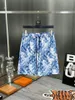 Summer Swimodwear Men Shorts Style Projektowanie plażowe swobodne stands