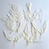 Decorative Flowers 10 Pcs/Natural Plant Ferns Handmade DIY Material Decor Fern Plover Grass For Scented Candles Epoxy