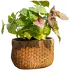 Vases Rattan-like Cement Flower Pot Personalized Plant Decorative Flowerpot Set Balcony Garden Basin