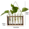 Vases Vintage Hanging Transparent Planters Retro Tube Shaped Plant Terrarium For Home Hydroponic Plants