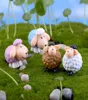 8st Cartoon Sheep Terrarium Miniatyres Fairy Garden Flower Pot Statue Bonsai Harts Craft Gnome Zakka Dollhouse Home Accessories6015232