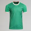 Celts 23/24 Kyogo Soccer Jerseys FC 2023 2024 Europejski dom na wyjazd trzeciej koszulki piłkarskiej Celtic Daizen Reo McGregor 120 lat rocznica irlandzkie pochodzenie specjalne